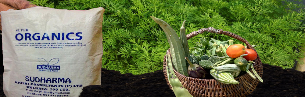 9a. true food 1000 x320