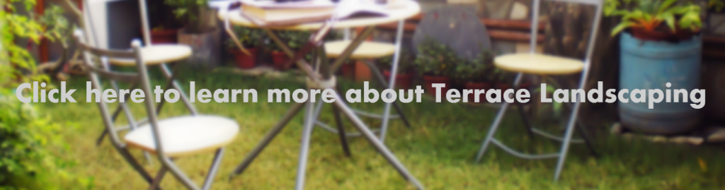 terrace_lg_clickhere-large