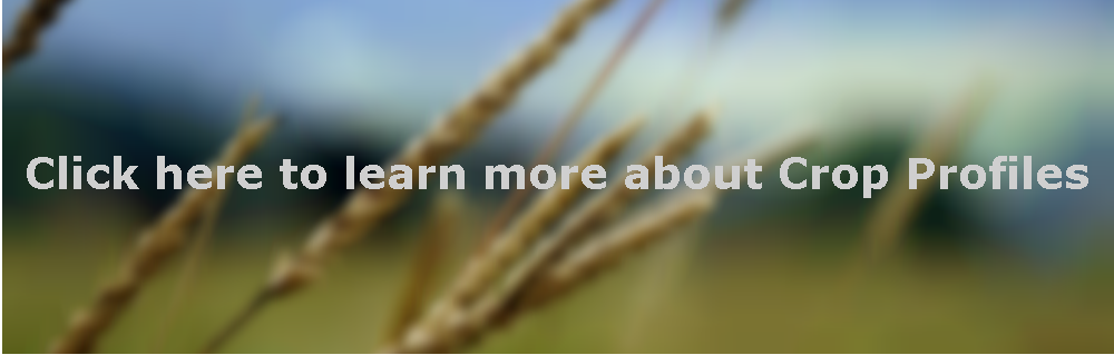 crop-profiles