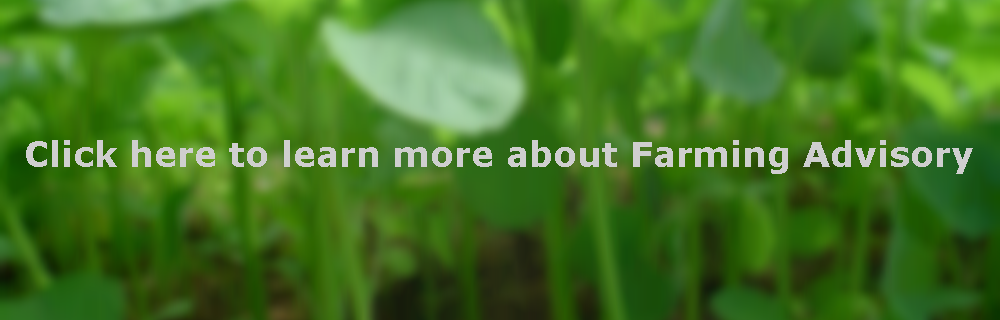 farming-advisory